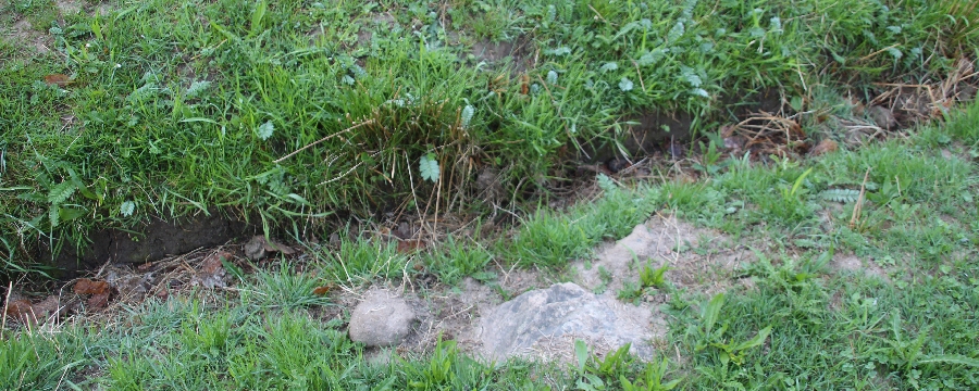 Bilder-04-24