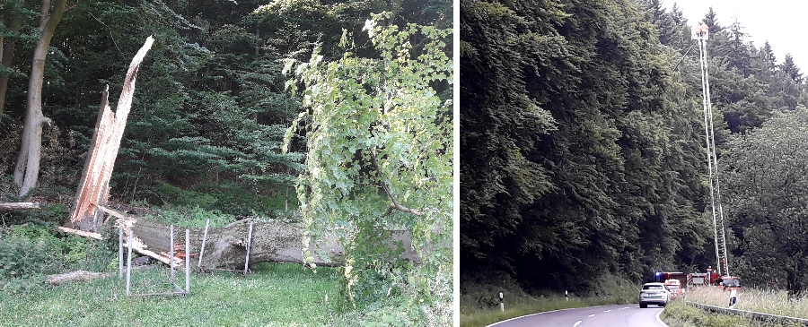 Bilder-06-25