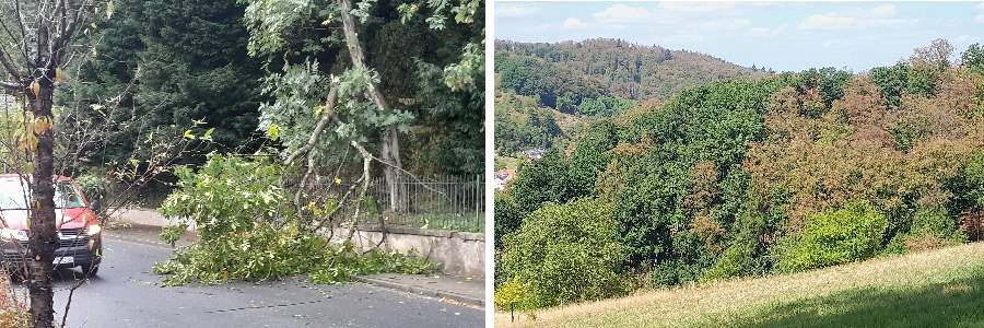 Bilder-08-26